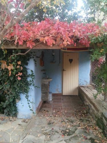 Bed & Breakfast Nisanyan Hotel