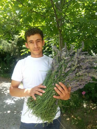 Bed & Breakfast Nisanyan Hotel
