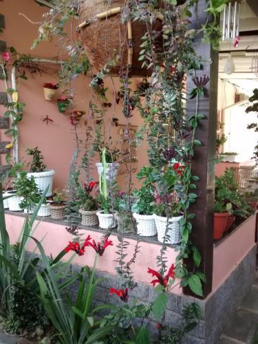 Hostal Pousada Cerca Viva