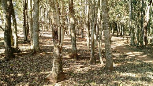 Hostal Pousada Flores Do Campo