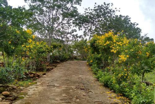 Hostal Pousada Caf� Do Brejo