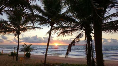 Apartamento Vila Dos L�rios
