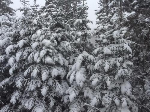 Bed & Breakfast Loft Nature Laurentides