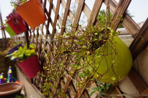 Shenzhen Xichong Story Hostel