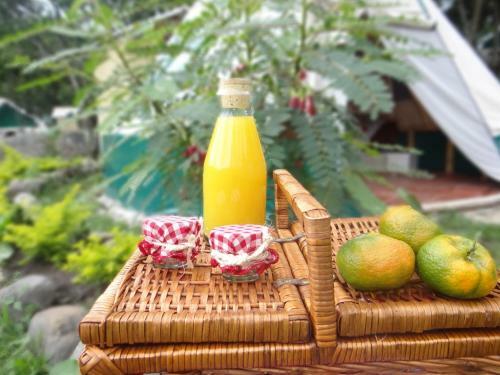 Glamping El Establo