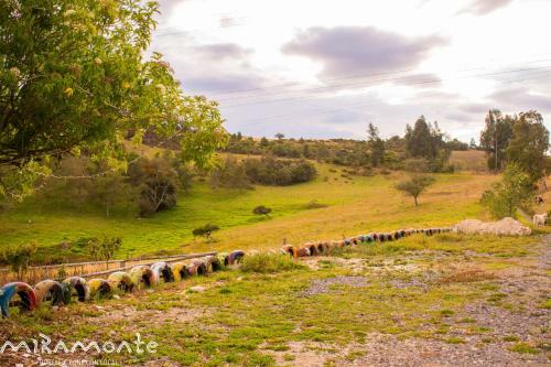Lodge Miramonte
