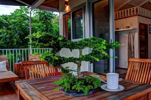 Hotel Moana Surf Resort