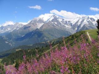 Hotel Liberty Mont Blanc