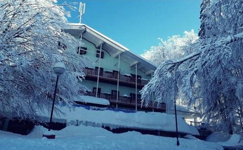 Great Mountain B&B Platak