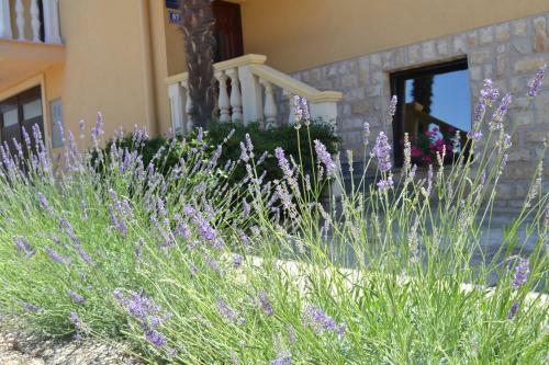 Hostal Apartments & Rooms Kustura