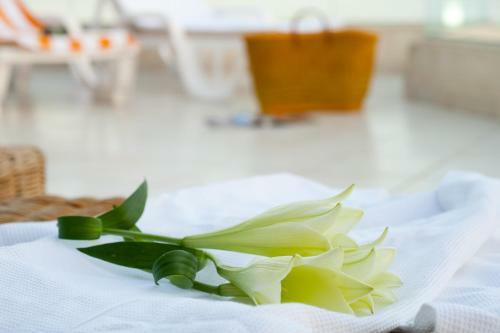 Leonardo Club Hotel Dead Sea - All Inclusive