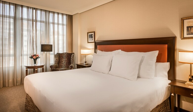Hotel Hyatt Regency Hesperia Madrid