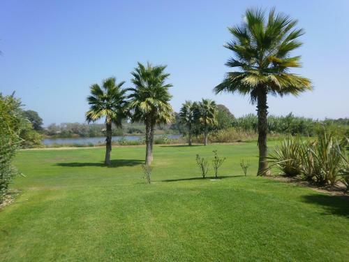 Apartamento El Polo De Sotogrande