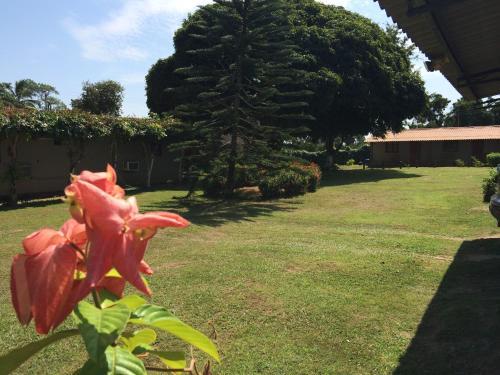 Hotel Residencial Pedasi