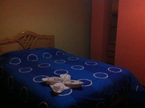 Hotel Plateros
