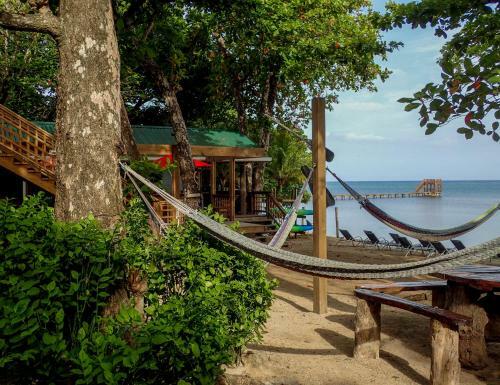 Apartamento Blue Island Divers Casa Descanso