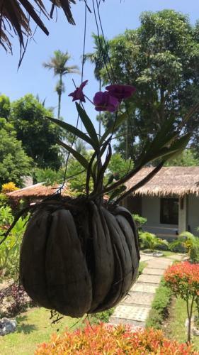 Bed & Breakfast Villa Paradise