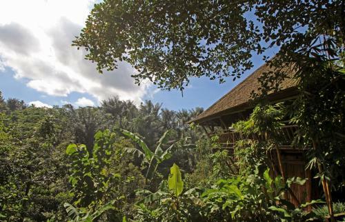 Hotel Alassari Plantation