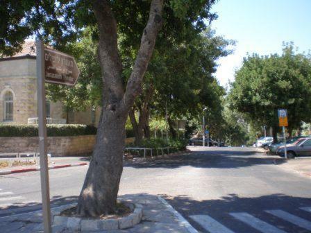 Apartamento Roni - Lovely 1br Peaceful Garden