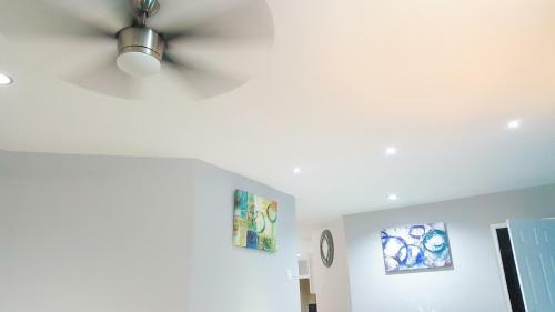 New Kingston Guest Apartments @ Donhead