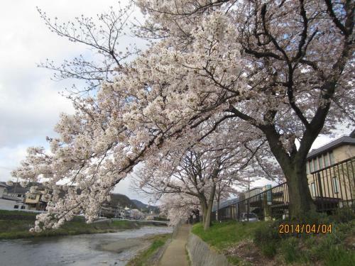 Hostal Communityhouse Jingunomori