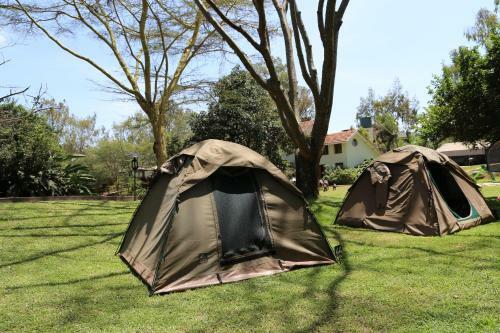 Wildebeest Eco Camp