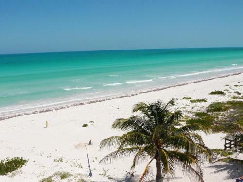 Antigua Lodge, 70 M From Sandy Beach