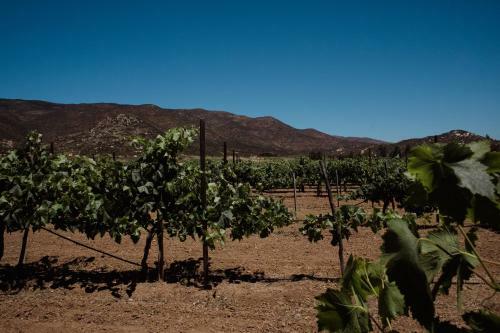 Villa Toros Pintos