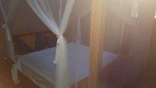 Hostal Barefoot In Barra