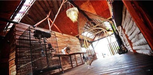 Hostal Barefoot In Barra