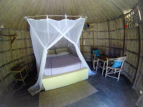 Hotel Baobab Beach Resort And Backpackers