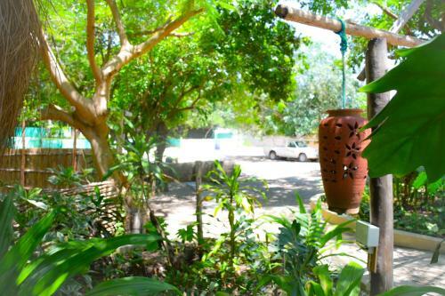 Hotel Baobab Beach Resort And Backpackers