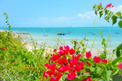 Hotel Baobab Beach Resort And Backpackers