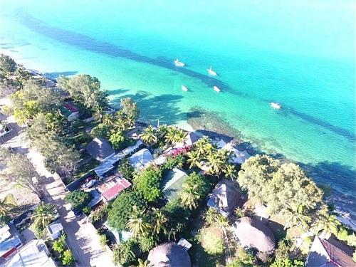 Lodge Dolphin Dhow Safaris