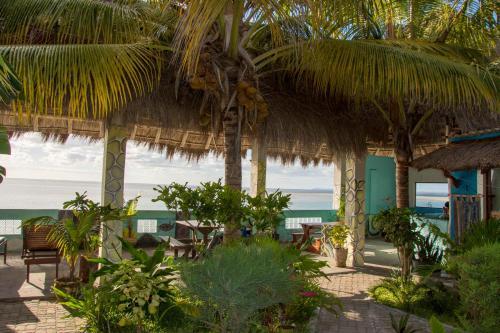 Lodge Dolphin Dhow Safaris