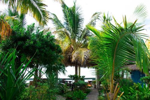 Lodge Dolphin Dhow Safaris