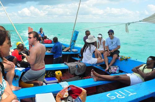 Lodge Dolphin Dhow Safaris