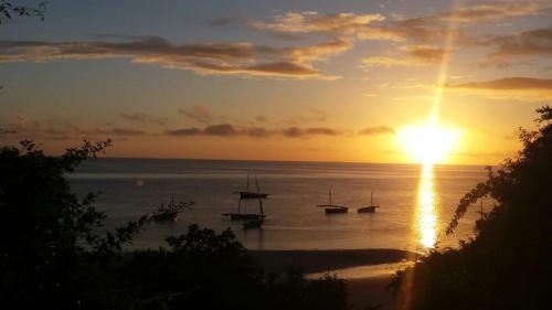 Lodge Dolphin Dhow Safaris
