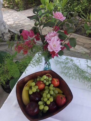Etosha Hotel