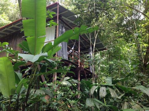 Posada La Loma Jungle Lodge And Chocolate Farm