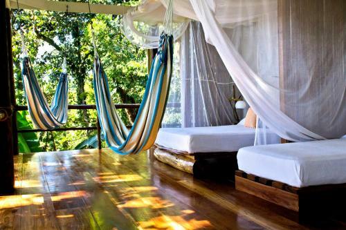 Posada La Loma Jungle Lodge And Chocolate Farm