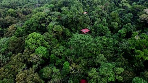 Posada La Loma Jungle Lodge And Chocolate Farm