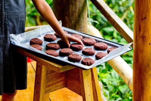 Posada La Loma Jungle Lodge And Chocolate Farm