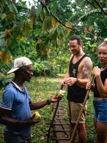 Posada La Loma Jungle Lodge And Chocolate Farm
