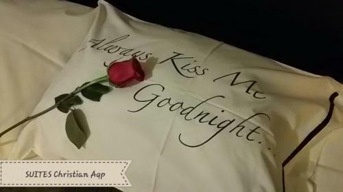 Hotel Christian Suites Aqp