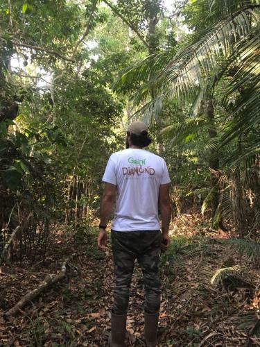 Green Diamond Amazon Lodge