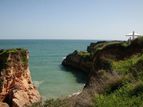 Moradia Perto Dos Palmares