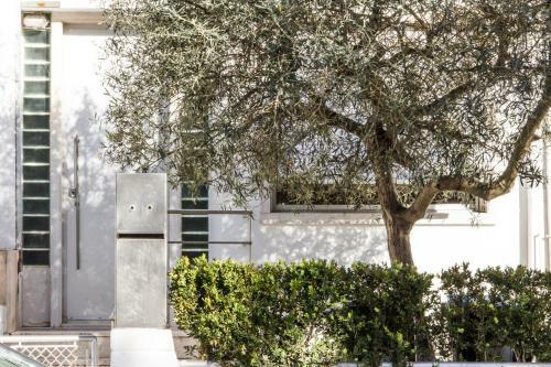 Apartamento The Olive Tree House