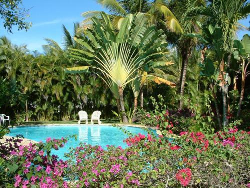 Luxury Villas At Sea Horse Ranch