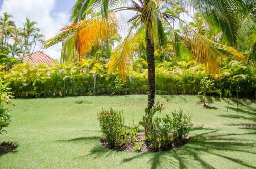 Luxury Villas At Sea Horse Ranch
